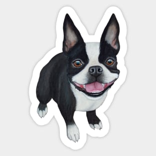 Boston Terrier Sticker